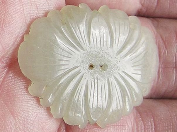Flower 371 - (3613)